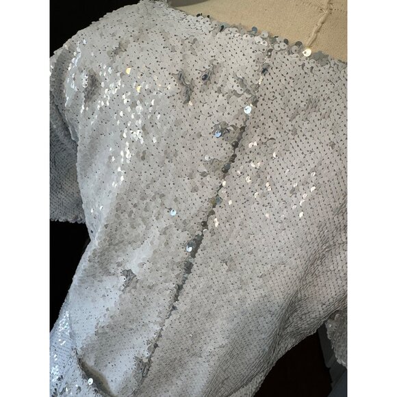 Cavanagh Baker Silver Sequin Short Sleeve V-Neck Mini Dress S - Picture 9 of 14